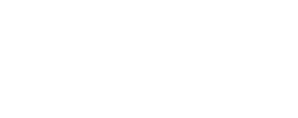 horseman 4 x 5